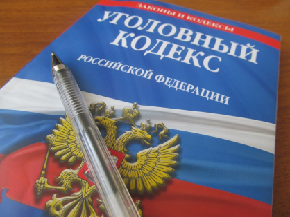 В Воткинске местный житель признан виновным в неправомерном обороте средств платежей и незаконном образовании юридического лица